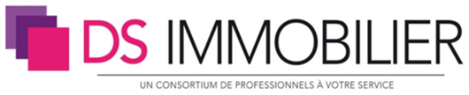 DS Immobilier